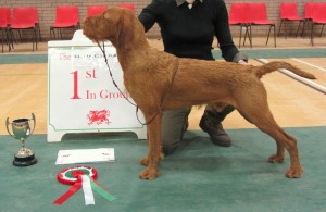 Ostor-BPIS-GCNW-31-3-13