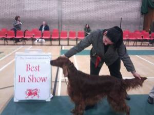 Best in Show