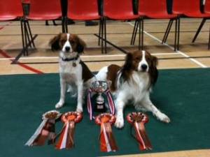 Kooiker BPIB and BOB