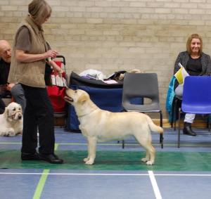 11011478_10206196784061140_1515823867662946336_n