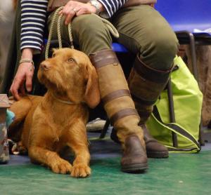 11060904_10206196780341047_4731845335067569130_n