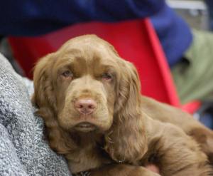 22703_10206196774780908_9123076534273439896_n