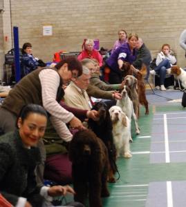 22703_10206196776340947_4892096492835792410_n