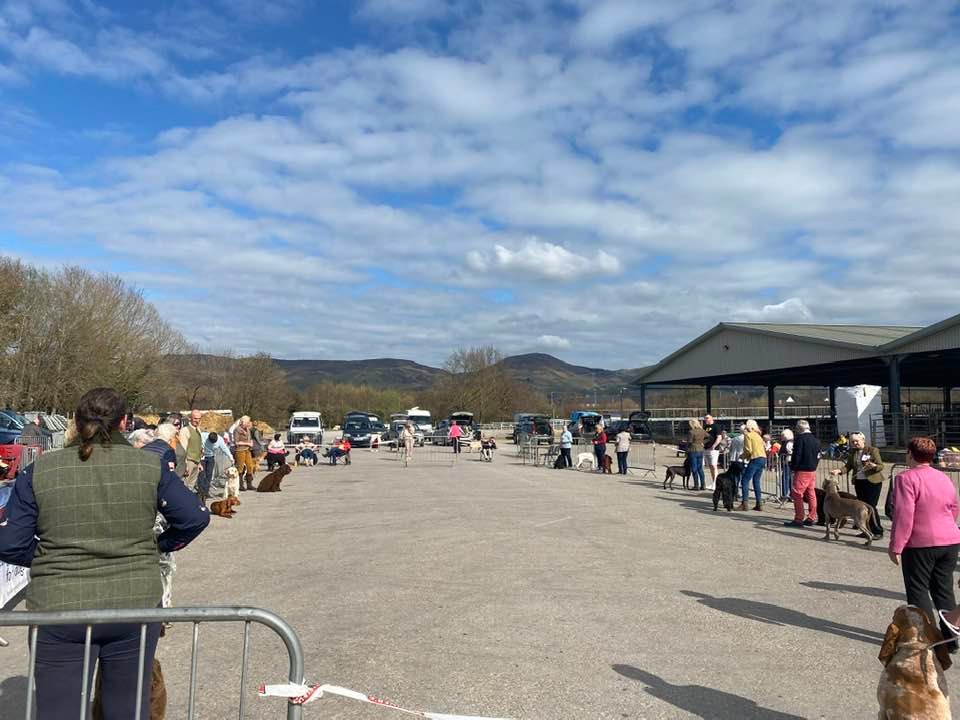 March 2022 Group judging