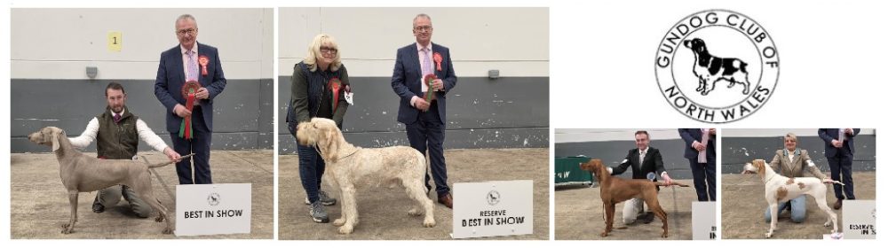 Gundog Club of North Wales